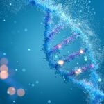 Longevity ve Medikal Estetik: Sağlıklı Yaş Alma Ciltte Nasıl Desteklenir?
